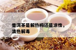 普洱茶是解热吗还是凉性，清热解