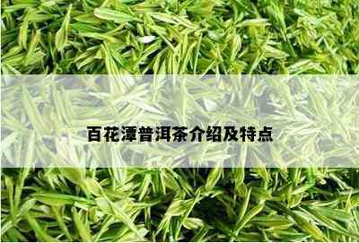 百花潭普洱茶介绍及特点