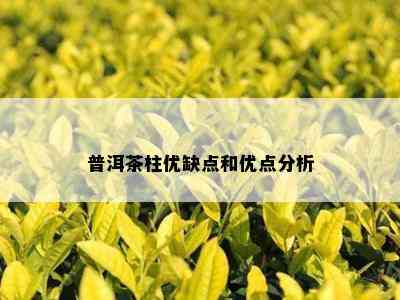 普洱茶柱优缺点和优点分析