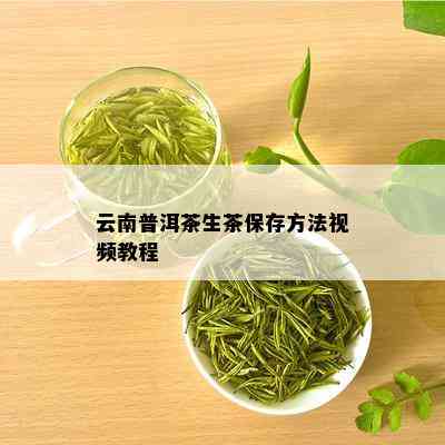 云南普洱茶生茶保存方法视频教程