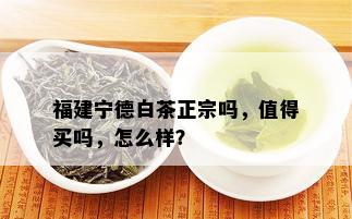 福建宁德白茶正宗吗，值得买吗，怎么样？