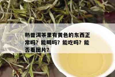 熟普洱茶里有黄色的东西正常吗？能喝吗？能吃吗？能否看图片？