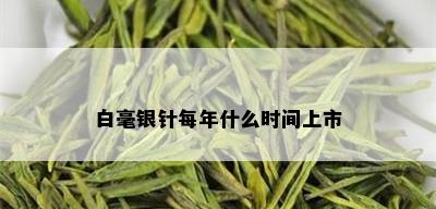 白毫银针每年什么时间上市