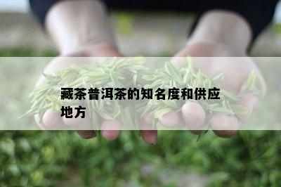 藏茶普洱茶的知名度和供应地方