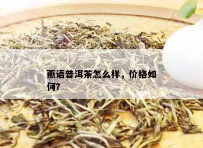 燕语普洱茶怎么样，价格如何？