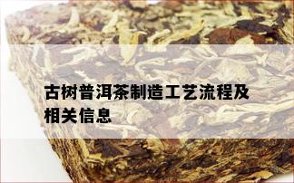 古树普洱茶制造工艺流程及相关信息