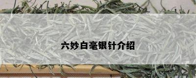 六妙白毫银针介绍