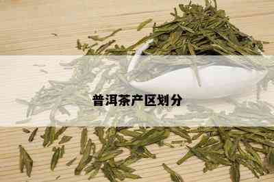 普洱茶产区划分