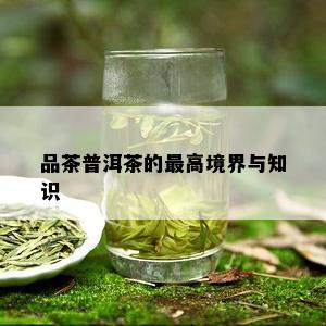 品茶普洱茶的更高境界与知识