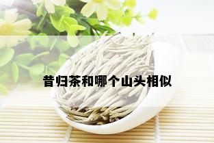 昔归茶和哪个山头相似