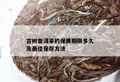 古树普洱茶的保质期限多久及更佳保存方法