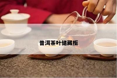 普洱茶叶储藏柜