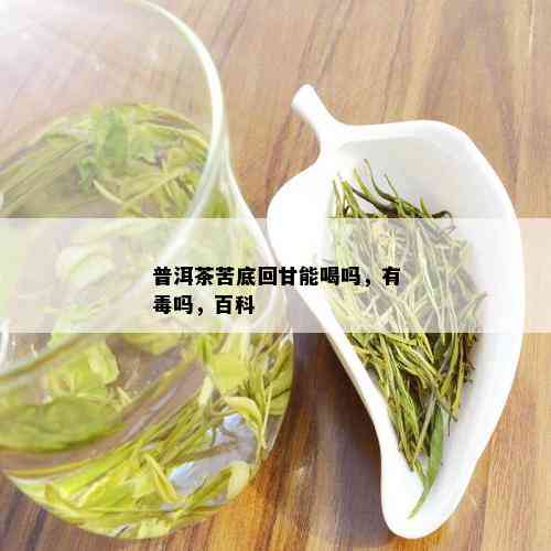 普洱茶苦底回甘能喝吗，有吗，百科