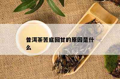 普洱茶苦底回甘的原因是什么