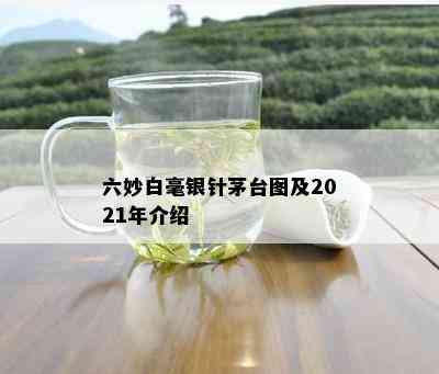 六妙白毫银针茅台图及2021年介绍