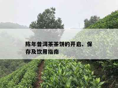 陈年普洱茶茶饼的开启、保存及饮用指南