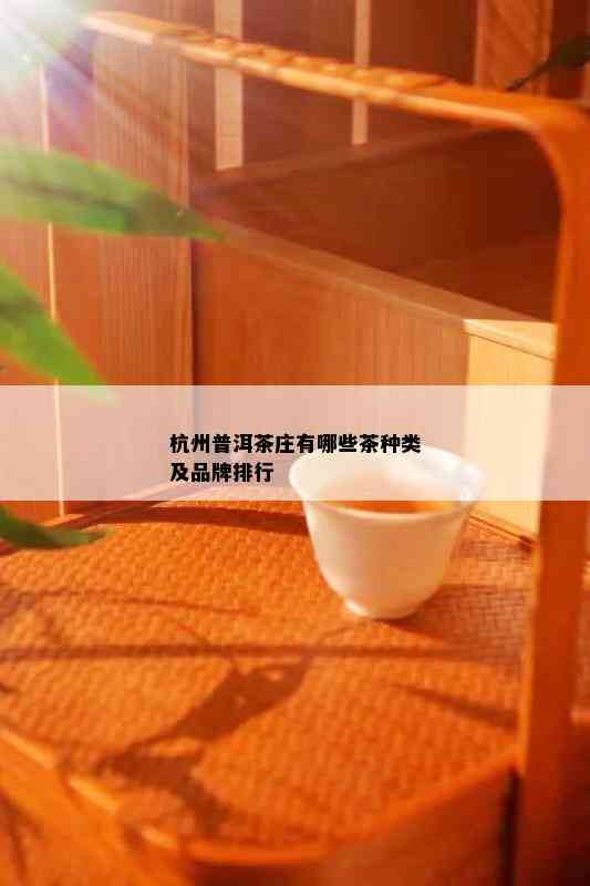 杭州普洱茶庄有哪些茶种类及品牌排行