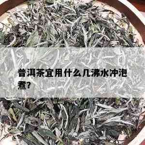 普洱茶宜用什么几沸水冲泡煮？