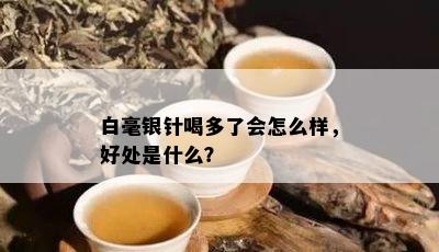 白毫银针喝多了会怎么样，好处是什么？