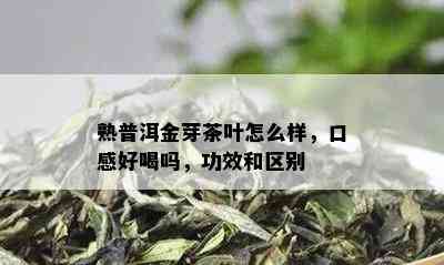 熟普洱金芽茶叶怎么样，口感好喝吗，功效和区别