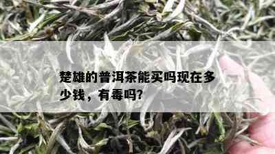 楚雄的普洱茶能买吗现在多少钱，有吗？