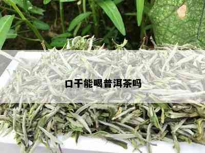 口干能喝普洱茶吗