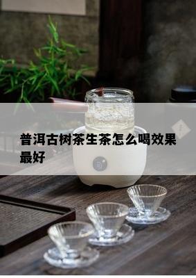 普洱古树茶生茶怎么喝效果更好