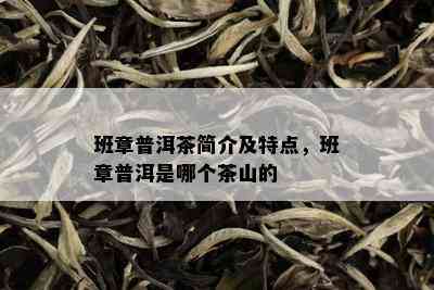 班章普洱茶简介及特点，班章普洱是哪个茶山的