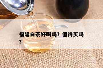 福建白茶好喝吗？值得买吗？