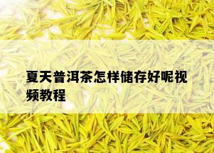 夏天普洱茶怎样储存好呢视频教程