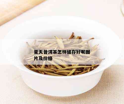 夏天普洱茶怎样储存好呢图片及价格