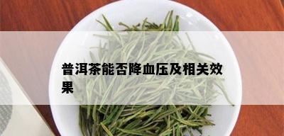 普洱茶能否降血压及相关效果