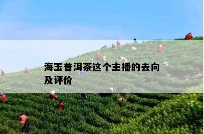 海玉普洱茶这个主播的去向及评价