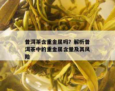 普洱茶含重金属吗？解析普洱茶中的重金属含量及其风险