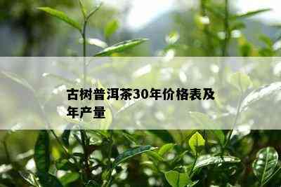 古树普洱茶30年价格表及年产量