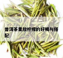 普洱茶里放柠檬的好喝与搭配