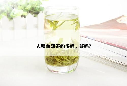 人喝普洱茶的多吗，好吗？