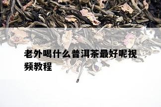 老外喝什么普洱茶更好呢视频教程