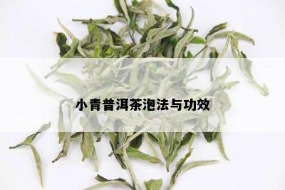 小青普洱茶泡法与功效