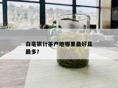 白毫银针茶产地哪里更好且最多？