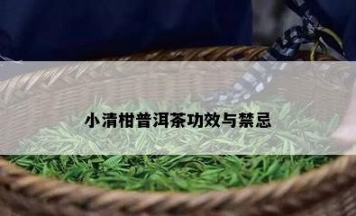 小清柑普洱茶功效与禁忌