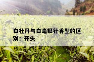 白牡丹与白毫银针香型的区别：开头