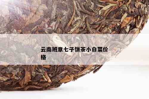 云南班章七子饼茶小白菜价格