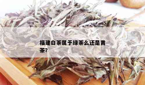 福建白茶属于绿茶么还是黄茶？