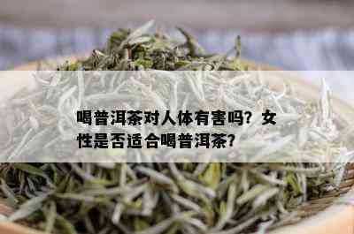 喝普洱茶对人体有害吗？女性是否适合喝普洱茶？