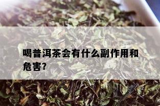 喝普洱茶会有什么副作用和危害？