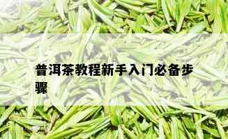 普洱茶教程新手入门必备步骤