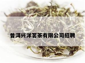 普洱兴洋茗茶有限公司招聘