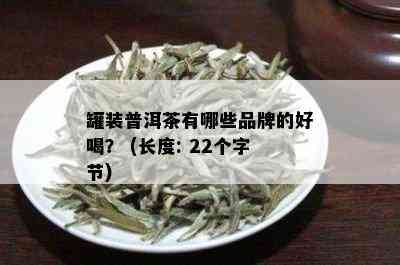 罐装普洱茶有哪些品牌的好喝？ (长度: 22个字节)