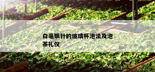 白毫银针的玻璃杯泡法及泡茶礼仪